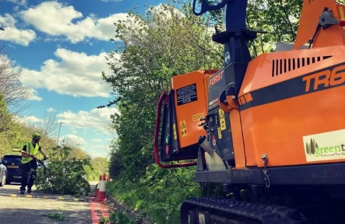 Green Trees clearing tree damage in Milton Keynes